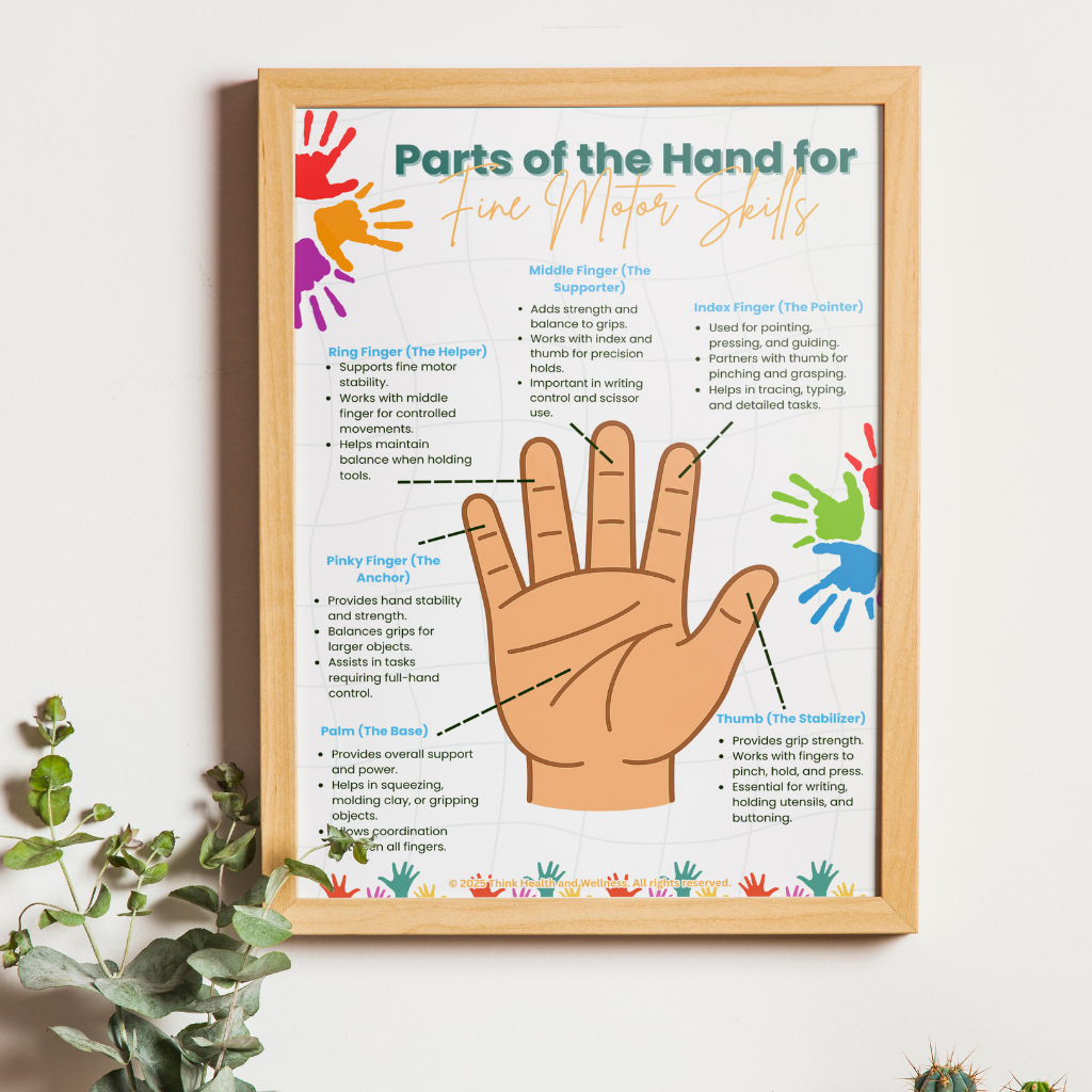 Parts of the Hand for Fine Motor Skills Poster