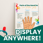 Parts of the Hand for Fine Motor Skills Poster