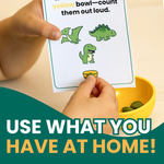 Dino Grab & Go Flashcards