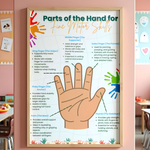 Parts of the Hand for Fine Motor Skills Poster