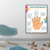Parts of the Hand for Fine Motor Skills Poster