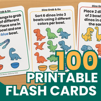 Dino Grab & Go Flashcards