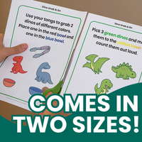 Dino Grab & Go Flashcards
