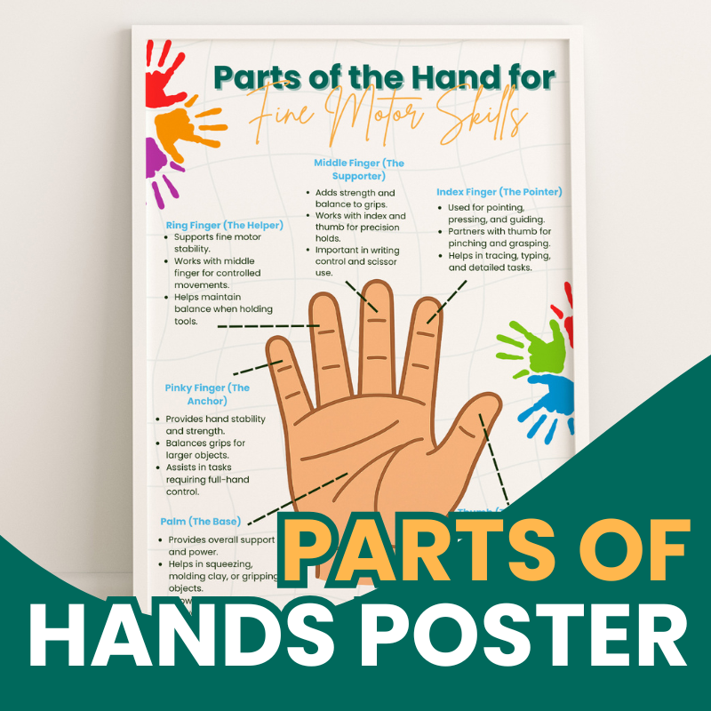 Parts of the Hand for Fine Motor Skills Poster